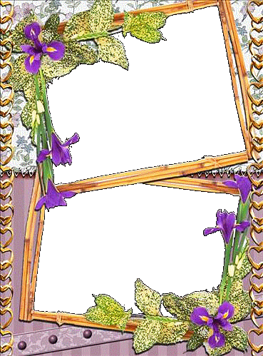 Ramki kwiatowe - ChomikImage.aspx93.gif