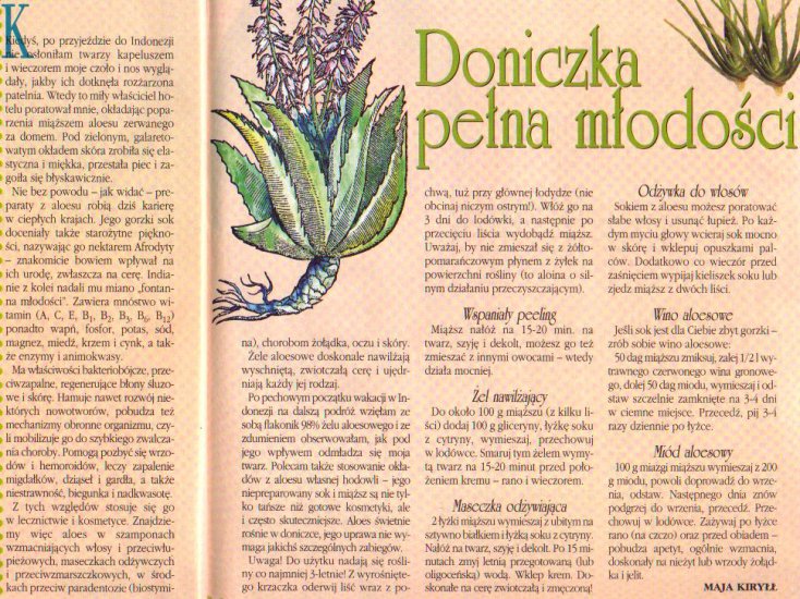 ZIOŁOLECZNICTWO4 - Aloes3.JPG