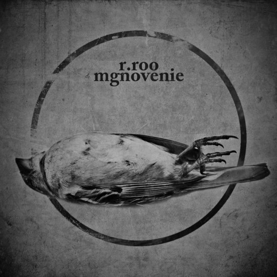 r.roo - Mgnovenie 2012 - cover.jpg