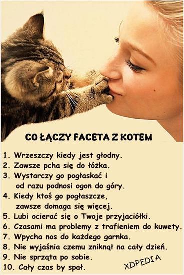 Dokumenty - co_laczy_faceta_z_kotem_2013-10-02_21-35-21.jpg