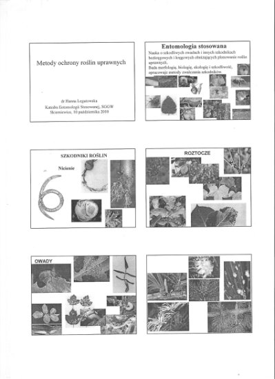 Część 1 - entomologia cz 1 01.jpg