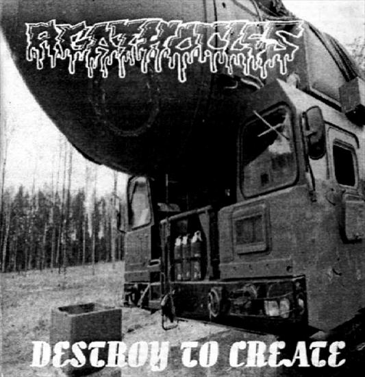 agathocles - 1998 - Destroy to create - cover.JPG
