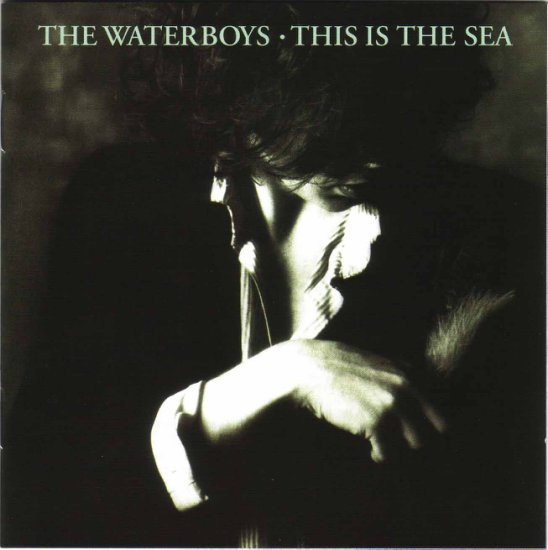 2004 - This is the sea - The Waterboys - This Is The Sea.jpg