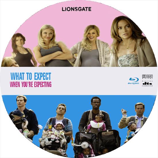 What to Expect When Youre Expecting - what-to-expect-when-you-are-expecting-2012-custom-cd-cover.jpg