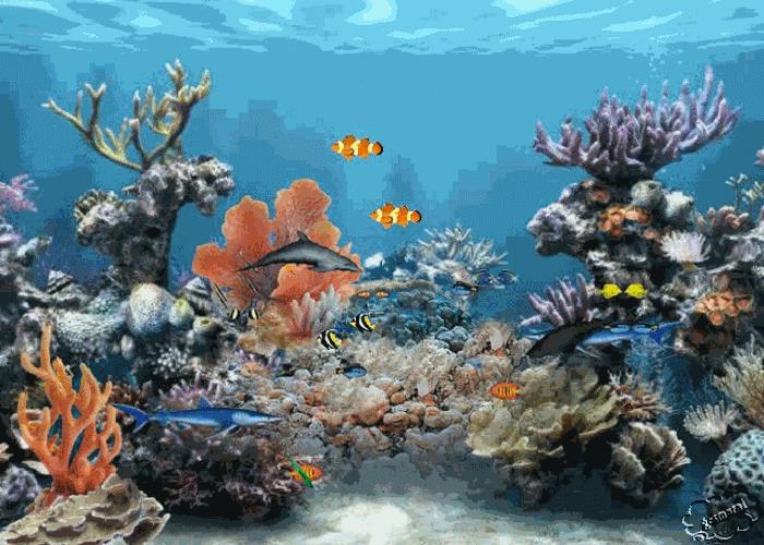 Animacje z wodą -Syrenki - Rafa koralowa.gif