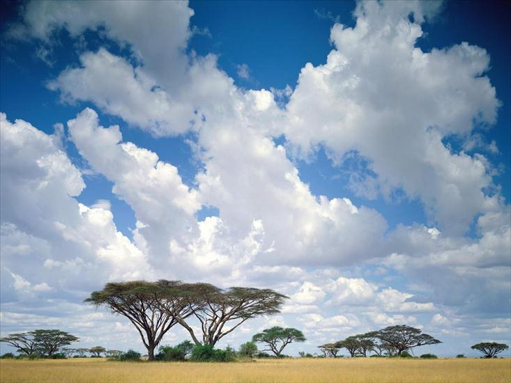 krajobrazy na kompa - Masai Mara Game Reserve, Kenya.jpg