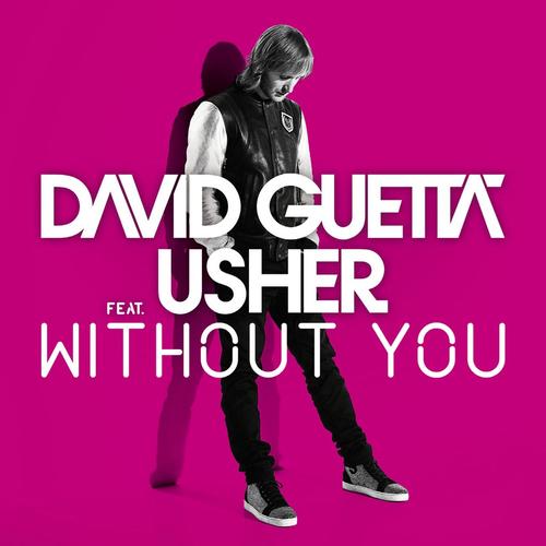 David Guetta feat. Usher - Without You 2011 FLAC - cover.jpg
