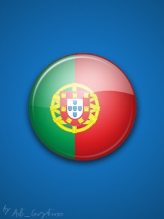 -EURO FLAGI- - Euro_Team_Portugal.jpg