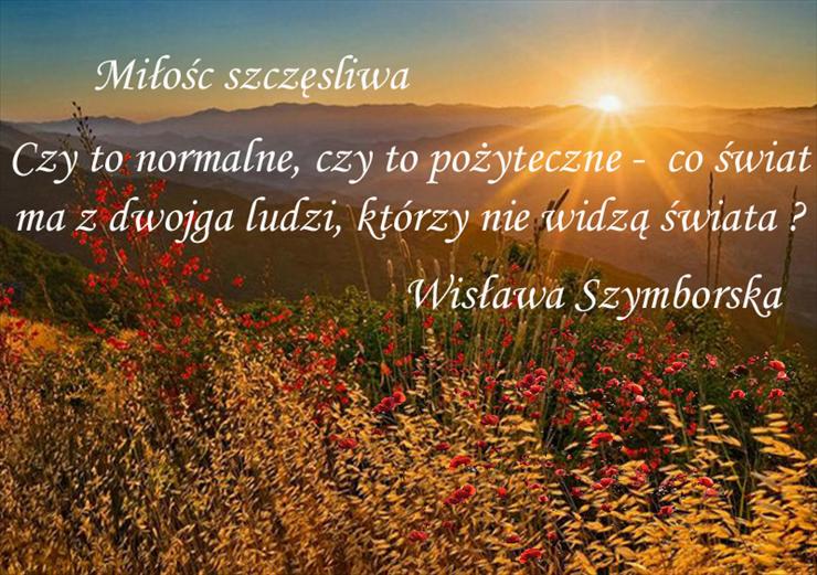 Wisława Szymborska cytaty - Wisława Szymborska.jpg