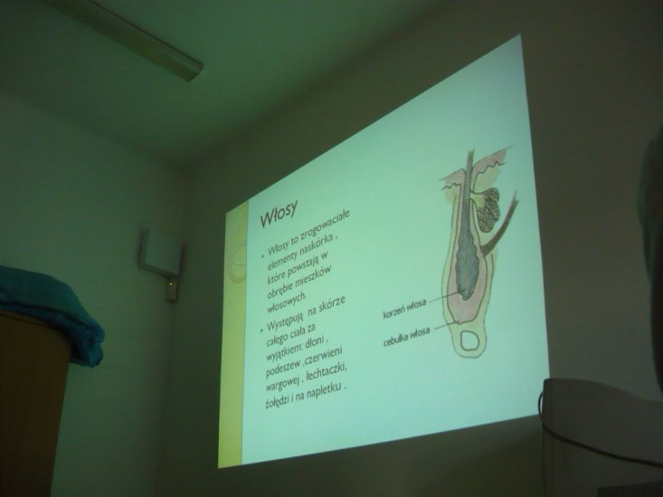 Dermatologia_seminarium_9_17042012 - P1100860m.JPG