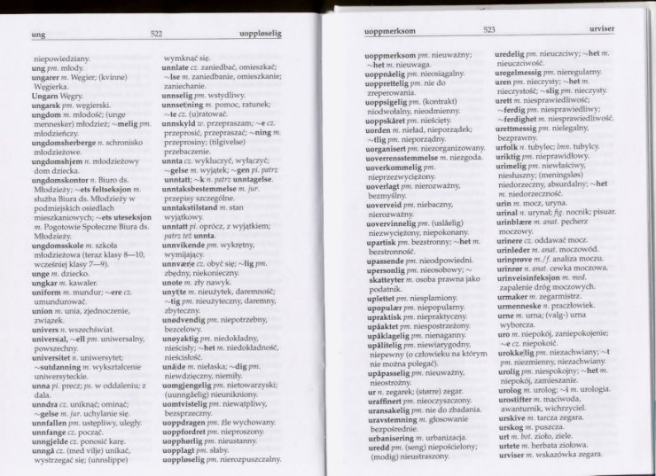 słownik - Słownik Polsko Norweski 259.jpg