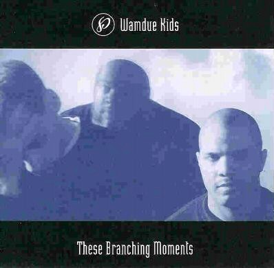 1996 - These Branching Moments - cover.jpg