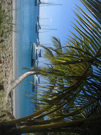 krajobrazy karaiby - k9.JPG