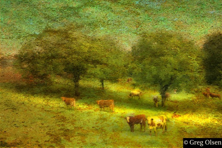 Olsen Greg - Landscape Art - the_cow_pasture_large.jpg