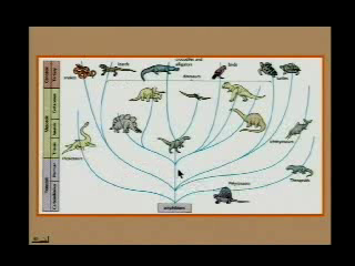 Kreacjonizm vs ewolucjonizm - drzewo ewolucyjne dinozaurów nie jest oparte na skamieniałościach.png