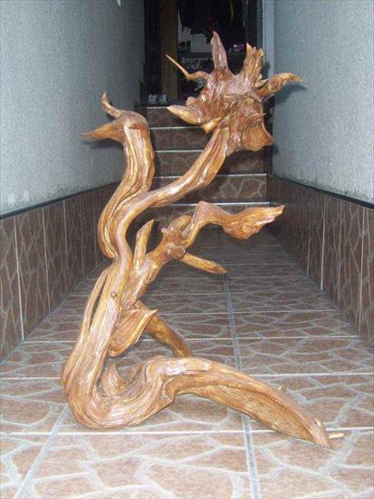 Rzeźby z korzeni - korzenie-szczawnica-pieniny-60-duze.JPG