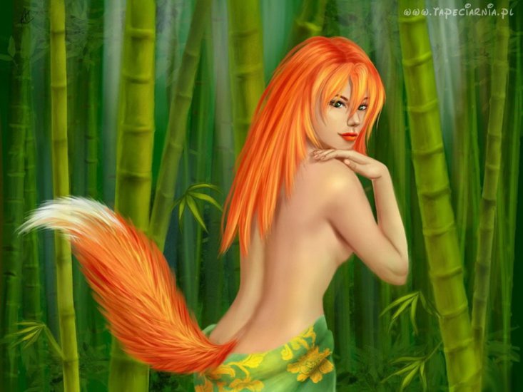 Kobiety fantasy - kobieta_bambus_lisica.jpg