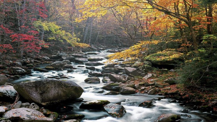 Rzeki - Little_River_Tremont_Great_Smoky_Mountains_National_Park_1440x1080.png
