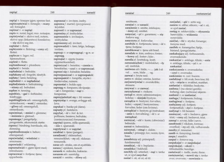 słownik - Słownik Polsko Norweski 124.jpg