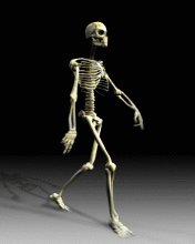 animacje - szkielet.gif