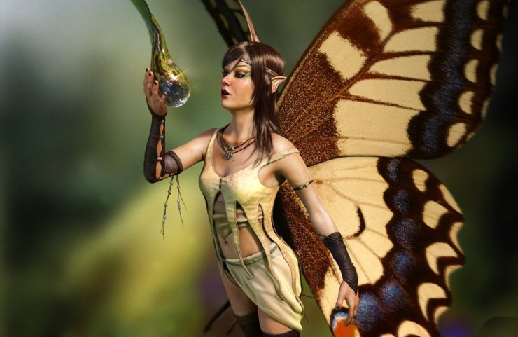 Kobiety motyle - motyl_kropla_rosy.jpg