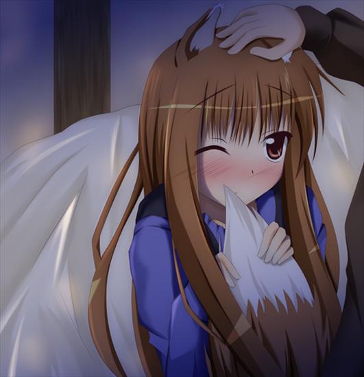 Spice and Wolf - 10lv0.jpg