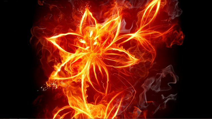  Fraktale  digital art - flower fire.jpg