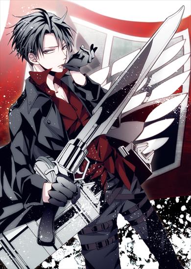 Levi - Rivaille.full.1549423.jpg