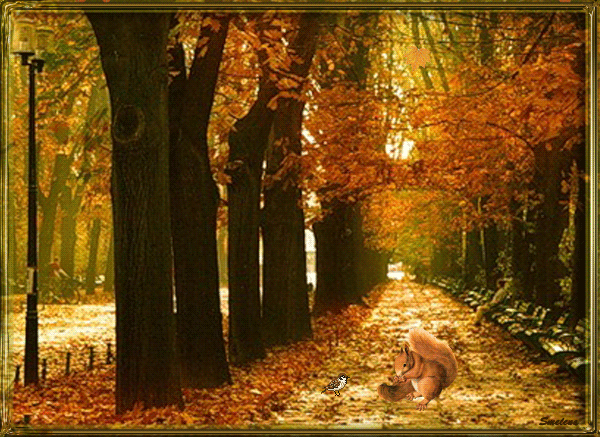  Jesiennie - ChomikImage 3.jpg