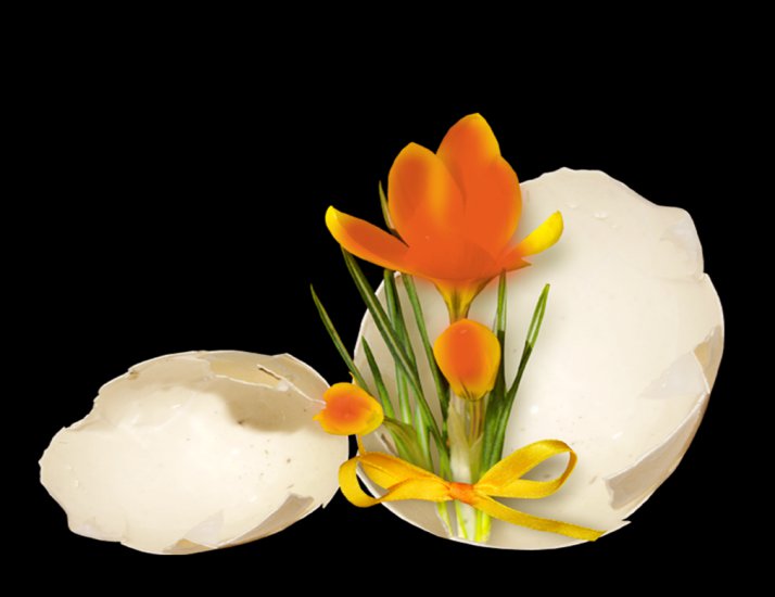 wielkanic pisanki z kwiatami - 0_8b50e_d3eafe0b_XL.png