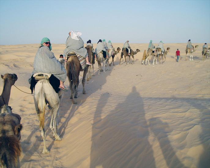 Tunezja - tunis foto oboi 036.jpg