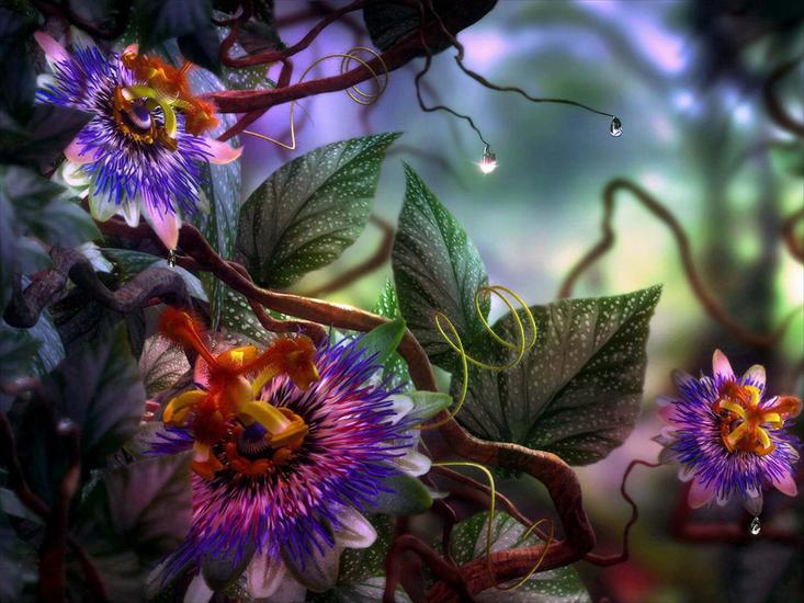 Magia kolorówPOLECAM - Digital- Flowers 1.jpg