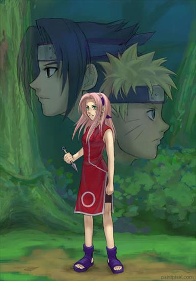 Naruto,Sasuke,Sakura - sakura.jpg