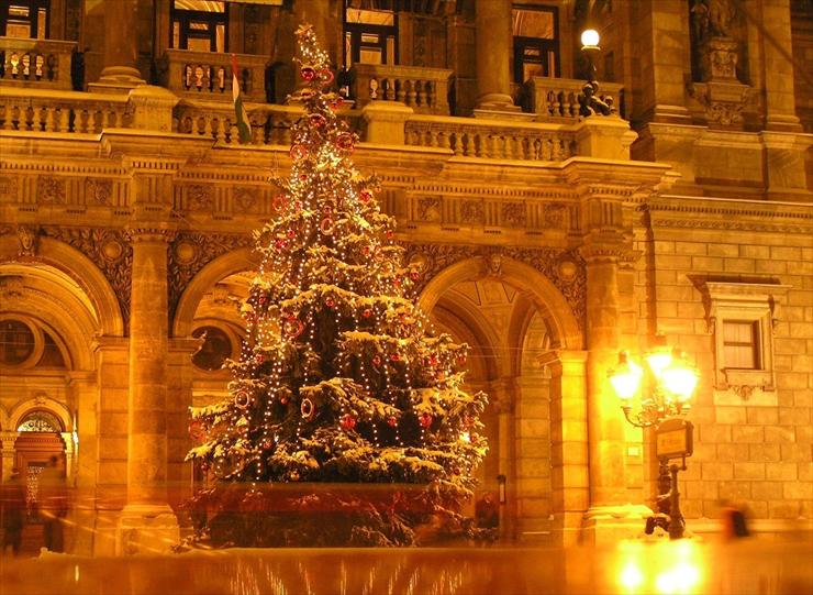 BOŻE NARODZENIE 1 - tree_holiday_garland_square_new_year_christmas_37572_1600x1170.jpg
