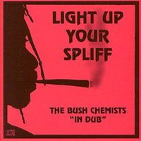 1997 - Bush Chemists-Light Up Your Spliff - Folder.jpg