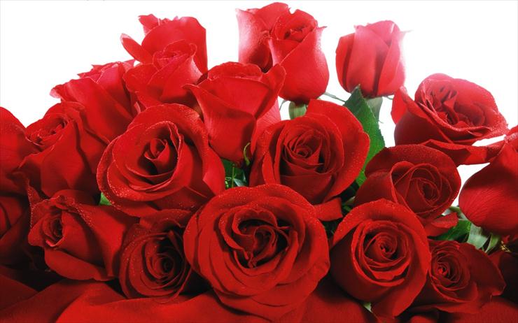 Róże - wp_Red_Valentines_1280X8001.jpg