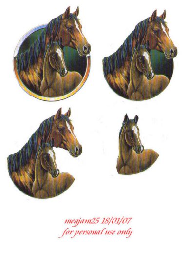 Różne - amy-horse-3d.jpg