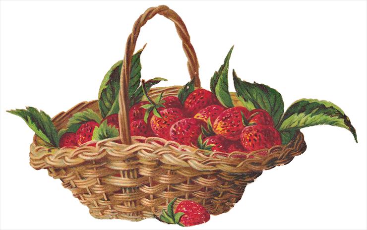   Fruits and Flowers ze starych pocztówek - 086.TIF