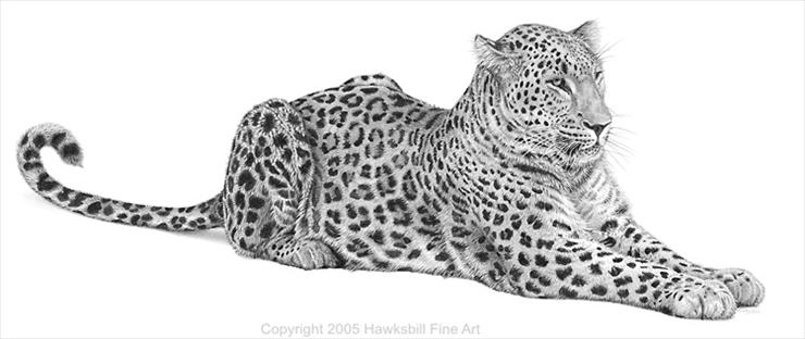 czarno-biale motywy - persian-leopard.jpg