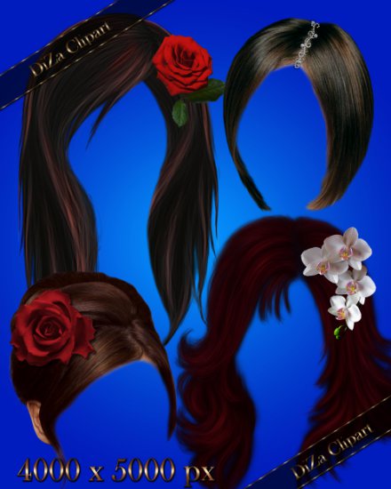 Fryzury PSD - Hairstyles with the decorations and flowers by DiZa.jpg