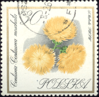 znaczki PL - 1550.bmp