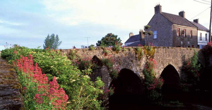 Irlandia - River Boyne, County Meath, Ireland.jpg