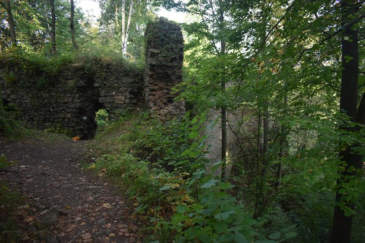 2021.09.27 01 - Cieszów - Ruiny zamku książęcego. Zamek Cisy - 004.JPG