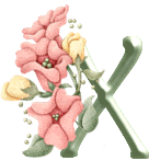 Alfabet z Kwiatkiem - 002 - X.gif