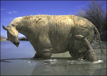 ----------------------... - Indricotherium - największy ssak podobny do żyrafy jaki chodzil po ziemi.jpg