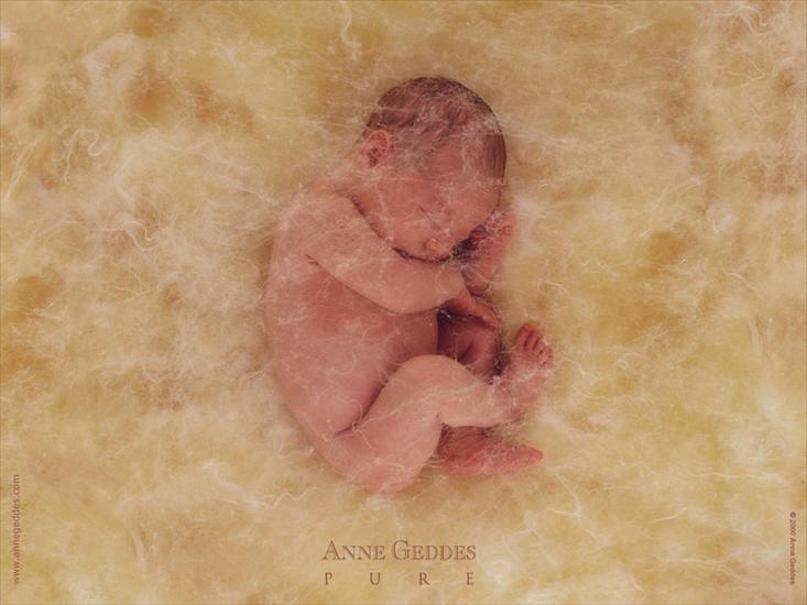   ZDJĘCIA  ANNE GEDDES - Child by Anne Geddes 28.jpg