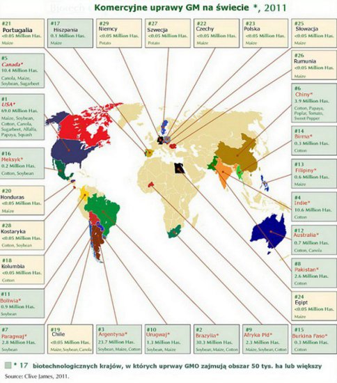 Infografika - Areał komercyjnych upraw GMO na świecie. Raport 2011.jpg