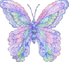 Motyle - motyle32.gif
