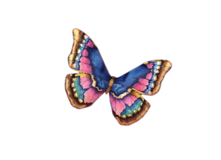 kolekcja93 - kt_pinkish-butterfly.png