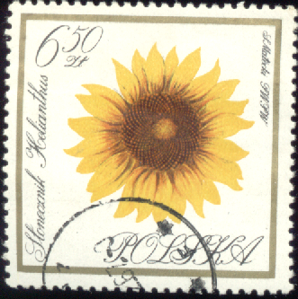 znaczki PL - 1555.bmp